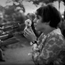 자동차이야기 이미지