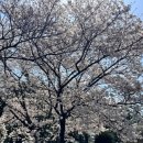 청림동 푸른숲 이미지