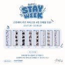 [#13 스테이일기] 8.1일은 스테이 생일🎂| 스트레이키즈❤️ | 스테이위크 후기(?) | 개인 인스타