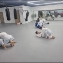 SY 주짓수&복싱 이미지