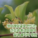 미화커텐 이미지