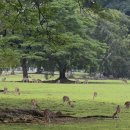 푸른초장 이미지