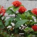 소명 행정사사무소 이미지