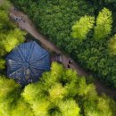 담양유명약국 이미지