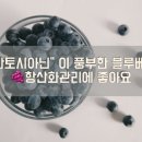 화력커피