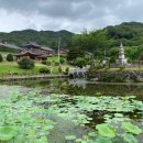 대안사 경내 | 곡성 태안사 여행 추천 후기 – 힐링과 역사 탐방의 완벽한 조합