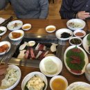 소이네 닭장 이미지