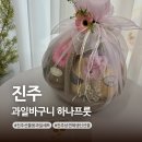 신진주시티프라디움 | 진주 과일바구니 신진주역 하나프룻 상견례 생신 선물용 과일세트