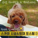 두리스카이 이미지