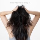 유성유리 네이버블로그