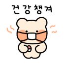테라피안