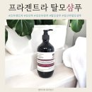 샴푸헤어 | 탈모샴푸 추천 프라젠트라 안티 헤어로스 트리트먼트 샴푸 솔직 후기