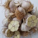 으뜸농약 이미지