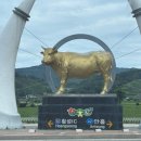 횡성한우마을 | 횡성 한우 맛집 [횡성한우마을] 진짜 후기