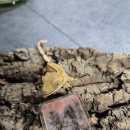 제이엔케이 | 제이엔케이아트 이벤트후기😍