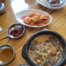 부여 여행 - 부여 백제해장국 솔직후기 + 궁남지 8월 연꽃