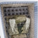 월학농장 이미지