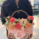 일산랩플레르
