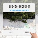 204카페 | (영도 흰여울 문화마을) 카페 kunst204 , 리사네 잡화점 방문 후기