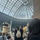 잘하자 돼지야 이미지