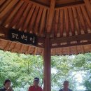 숲323 이미지