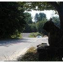 동월경로당 이미지