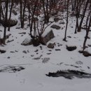 자연휴양림 입구 이미지