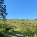 성읍리-18 이미지