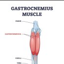 복싱바이러스 구월점 이미지