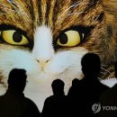 어흥
