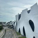 다이너스티클럽 | 싱가포르 4박 5일/비보시티 딤섬 맛집 파라다이스 다이너스티, 센토사섬 올라 비치 클럽 후기