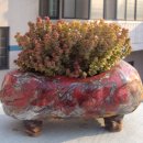 희성농장 이미지