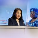 유명희, WTO 신임 사무총장과 첫 면담…WTO 개혁·코로나19 극복 방안 등 논의 이미지