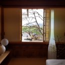 오방궤도 이미지