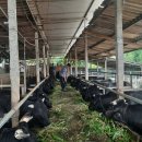 성원축사 이미지