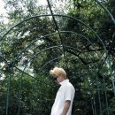 슈즈컴바인