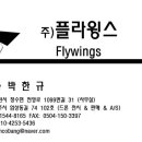 플라윙스