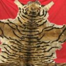 호사유피 이미지