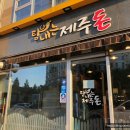 탐내는제주돈