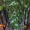 수인공원 이미지