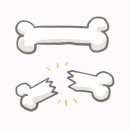 바디 컨피던스 이미지