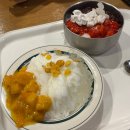 스테이 다다르다 이미지