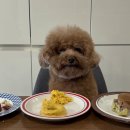 재화애견수제간식 이미지