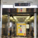 덕분이야모든개 이미지