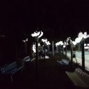 인덕장식 이미지