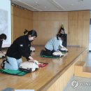 부산해양경찰서 영도파출소 이미지