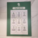 골드애견 | 여수 애견펜션 댕댕이 애견펜션 골드 방문 후기