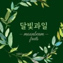 과일빛