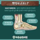 바른숲한의원 이미지