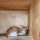 북대구농협 산격지점 이미지